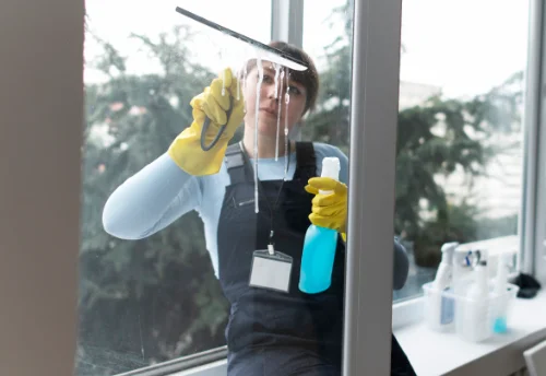 Nettoyage de vitres intérieures et extérieures à Échillais